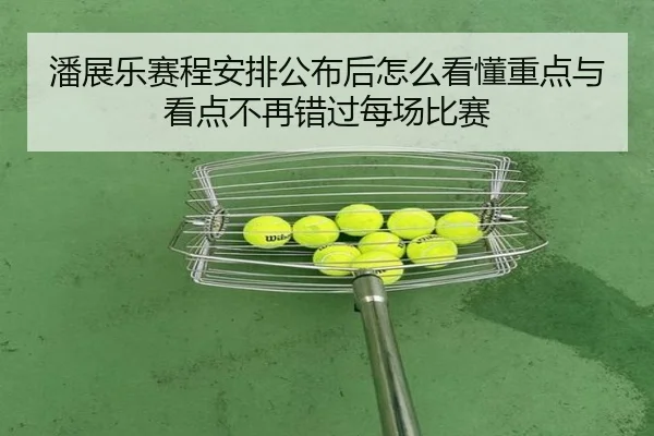 潘展乐赛程安排公布后怎么看懂重点与看点不再错过每场比赛